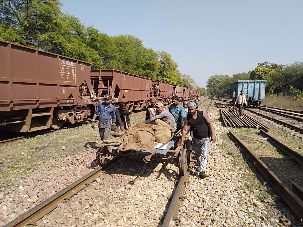 रेलकर्मियों ने सुरक्षित प्रसव कराके बचायी गाय की जान रेलकर्मियों ने सुरक्षित प्रसव कराके बचायी गाय की जान