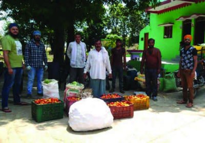 fruits distribution 2