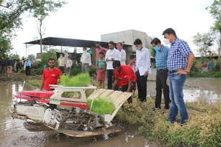 धान रोपाई के लिए बेहतर विकल्प है पेडी ट्रांसप्लांटर (Paddy transplanter) धान रोपाई के लिए बेहतर विकल्प है पेडी ट्रांसप्लांटर (Paddy transplanter)