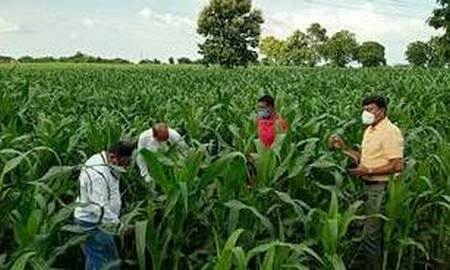 किसान फसलों का करें सतत् निरीक्षण : सिंह 1 fasal