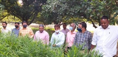 20201103 152620 resized