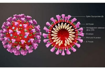 सरकारी के साथ प्राइवेट चिकित्सा पर उठ रहे गंभीर व शर्मनाक सवाल 2 corona 1