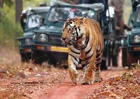 satpura