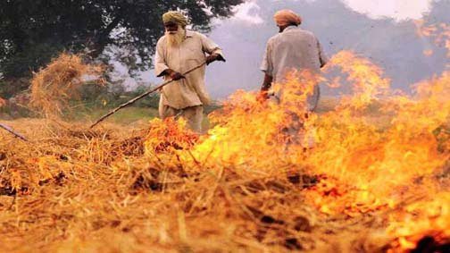 Complete ban on stubble burning in Narmadapuram, decision under Indian Civil Defense Code-2023