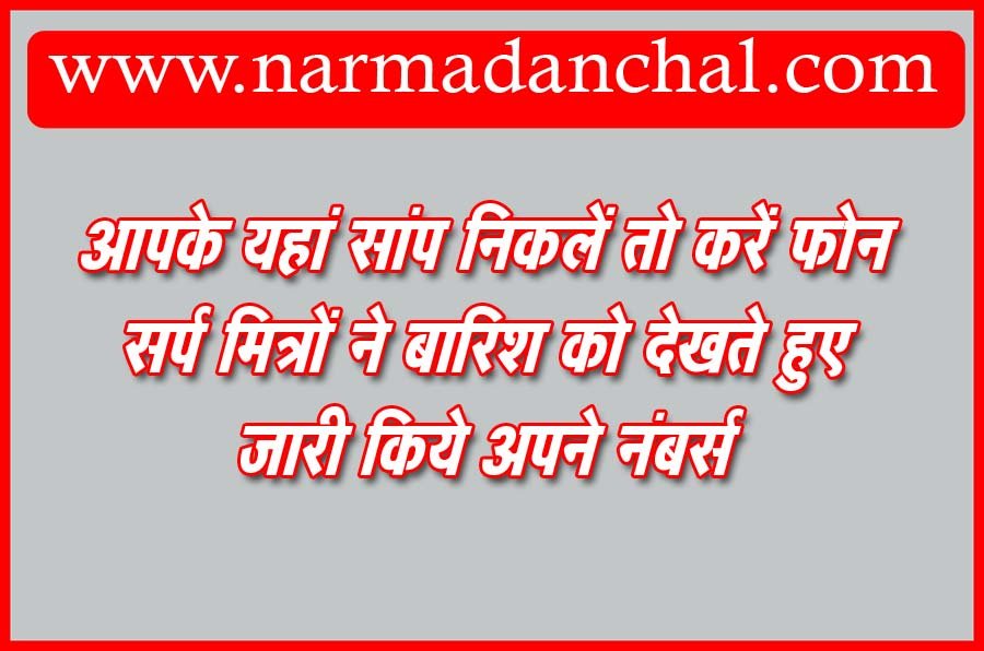 सांप निकले तो करें इन नंबर्स पर कॉल, तत्काल पहुंचेगी रेस्क्यू टीम 1 IMAGE