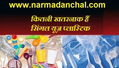 सिंगल यूज प्लास्टिक