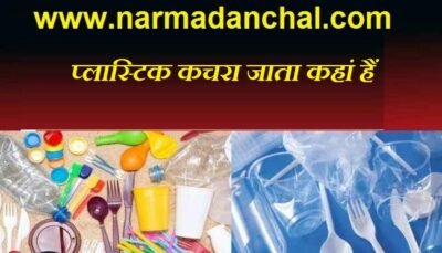 सिंगल यूज प्लास्टिक