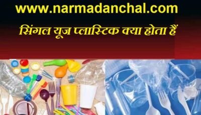 सिंगल यूज प्लास्टिक