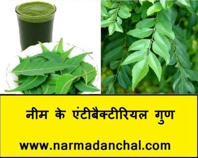 नीम के फायदे