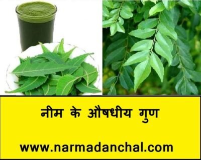 नीम के फायदे