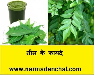 नीम के फायदे