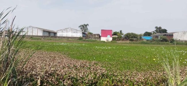 गहरीकरण के नाम पर खाली कर दिया लबालव भरा तालाब 2 Talab 2 1
