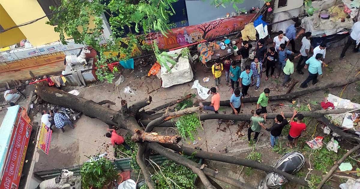 तेज हवा से विवेकानंद घाट पर पेड़ गिरा, एक महिला की मौत