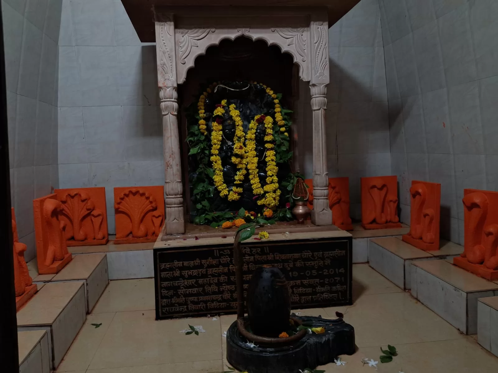 श्रद्धा भक्ति के साथ मना नागपंचमी का पर्व, मंदिरों में हुई पूजा