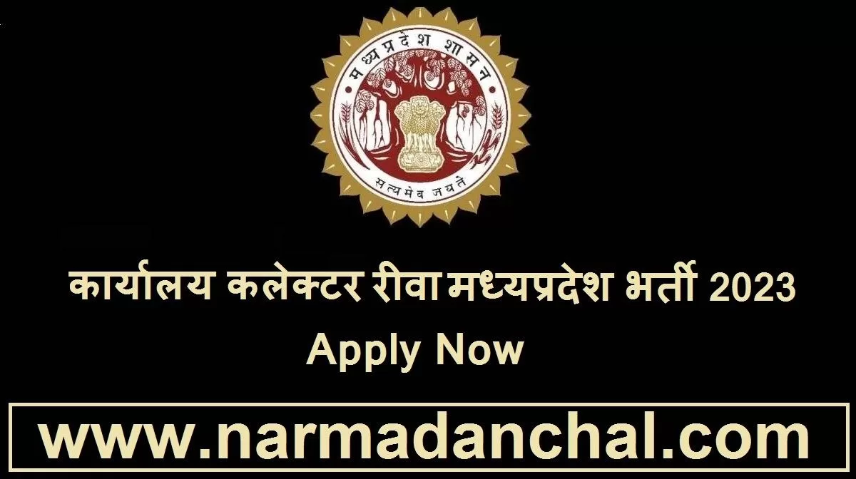 Collector Office Rewa Recruitment 2023