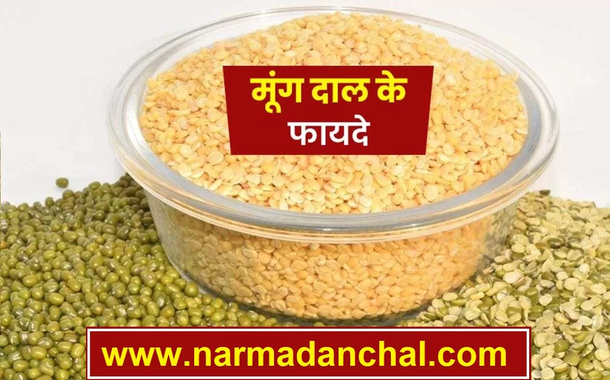 Moong Dal Khane Ke Fayde