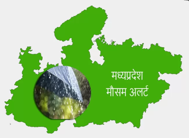 Heavy rain warning in many places of Madhya Pradesh in the next 24 hours