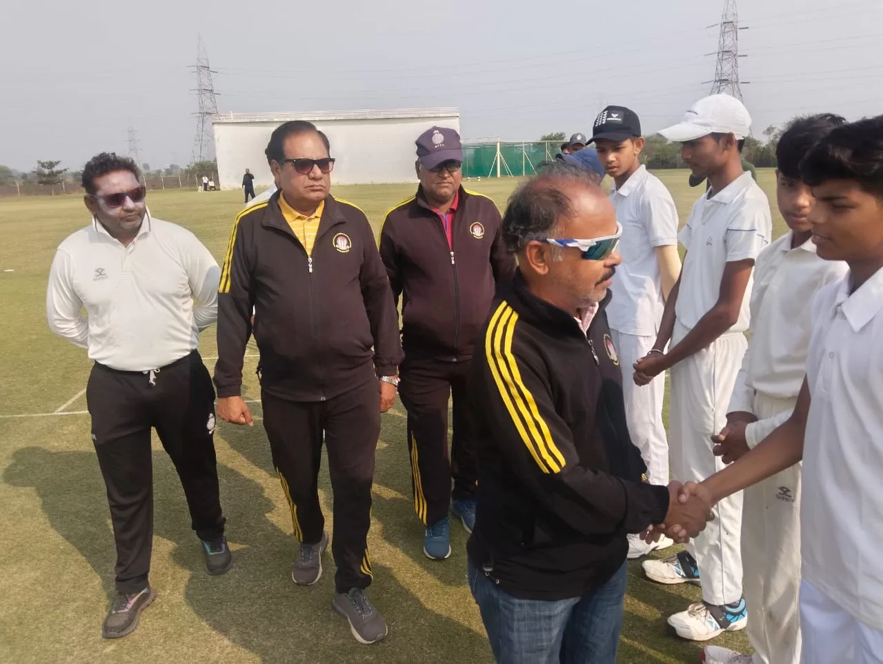 Cricket 5 jpg
