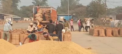 Procurement policy of paddy, jowar and millet on MSP continues in Madhya Pradesh