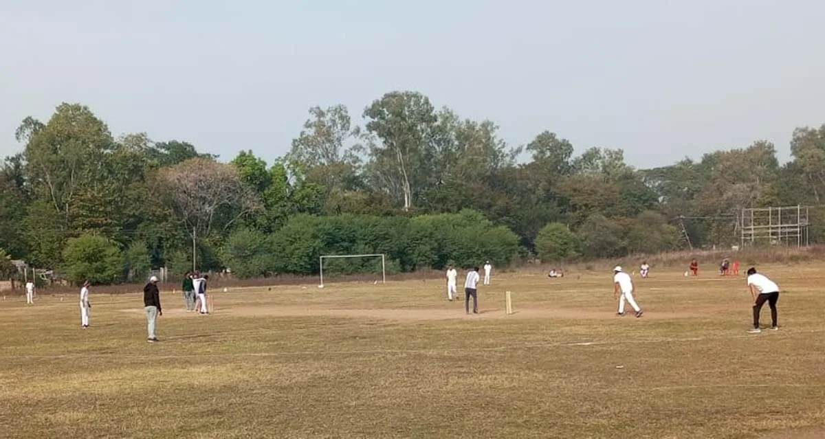 Cricket 2 jpg