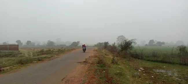 कोहरे वाली सुबह और शीतलहर के साथ फिर लौटी ठंड 2 Sard Subah2