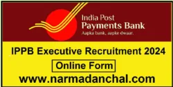 IPPB Executive Bharti 2024