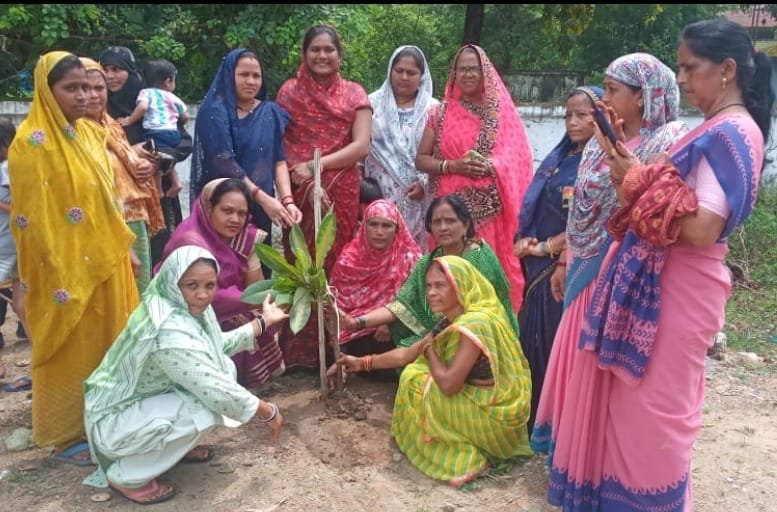 Under the nutrition month in Ward 8 North Bangaliya, a tree was planted in the name of mother.