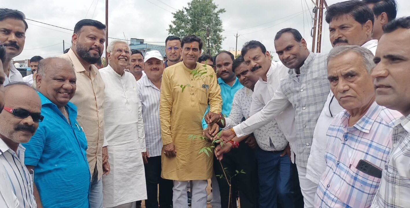 Green City Campaign: MLA Dr Sitasaran Sharma planted 50 trees along Zamani Road