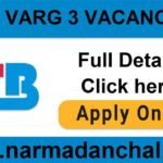 MP TET VARG 3 VACANCY 2024