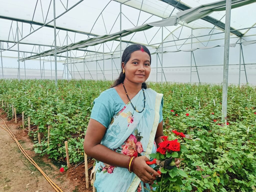 Rajni cultivated Dutch Rose, made a net profit of more than Rs 3 lakh in just five months.