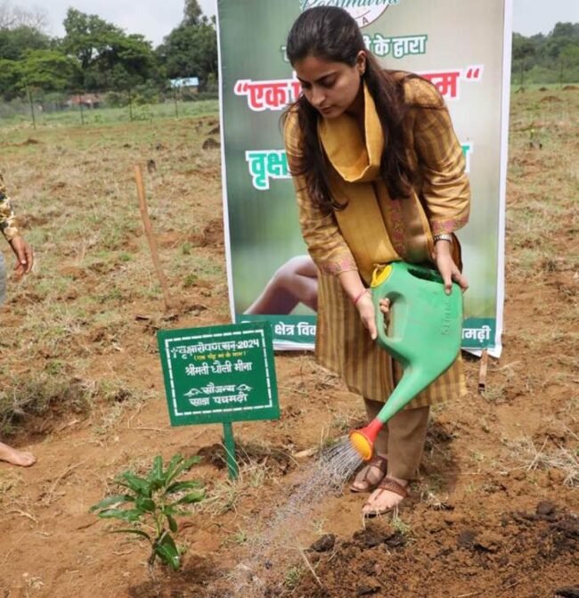 Narmadapuram district stood first in the state in the campaign in the name of a tree mother.