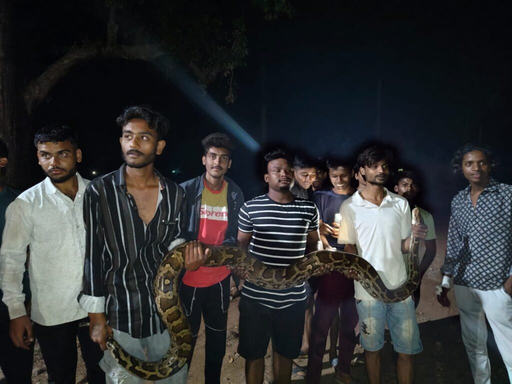 Sarp Mitra Qureshi team rescues giant python