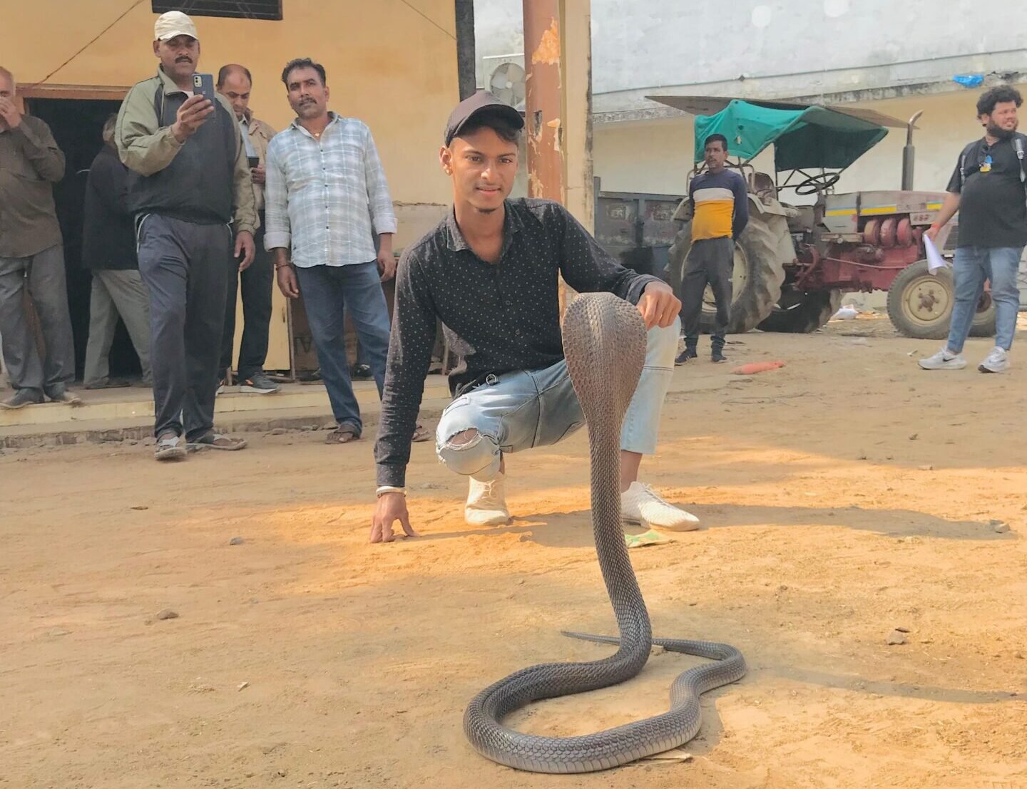 Five feet long cobra rescued from warehouse