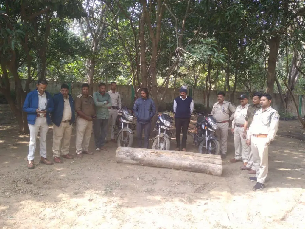 Forest department team caught three thieves with illegal teak