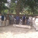 Forest department team caught three thieves with illegal teak