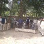 Forest department team caught three thieves with illegal teak