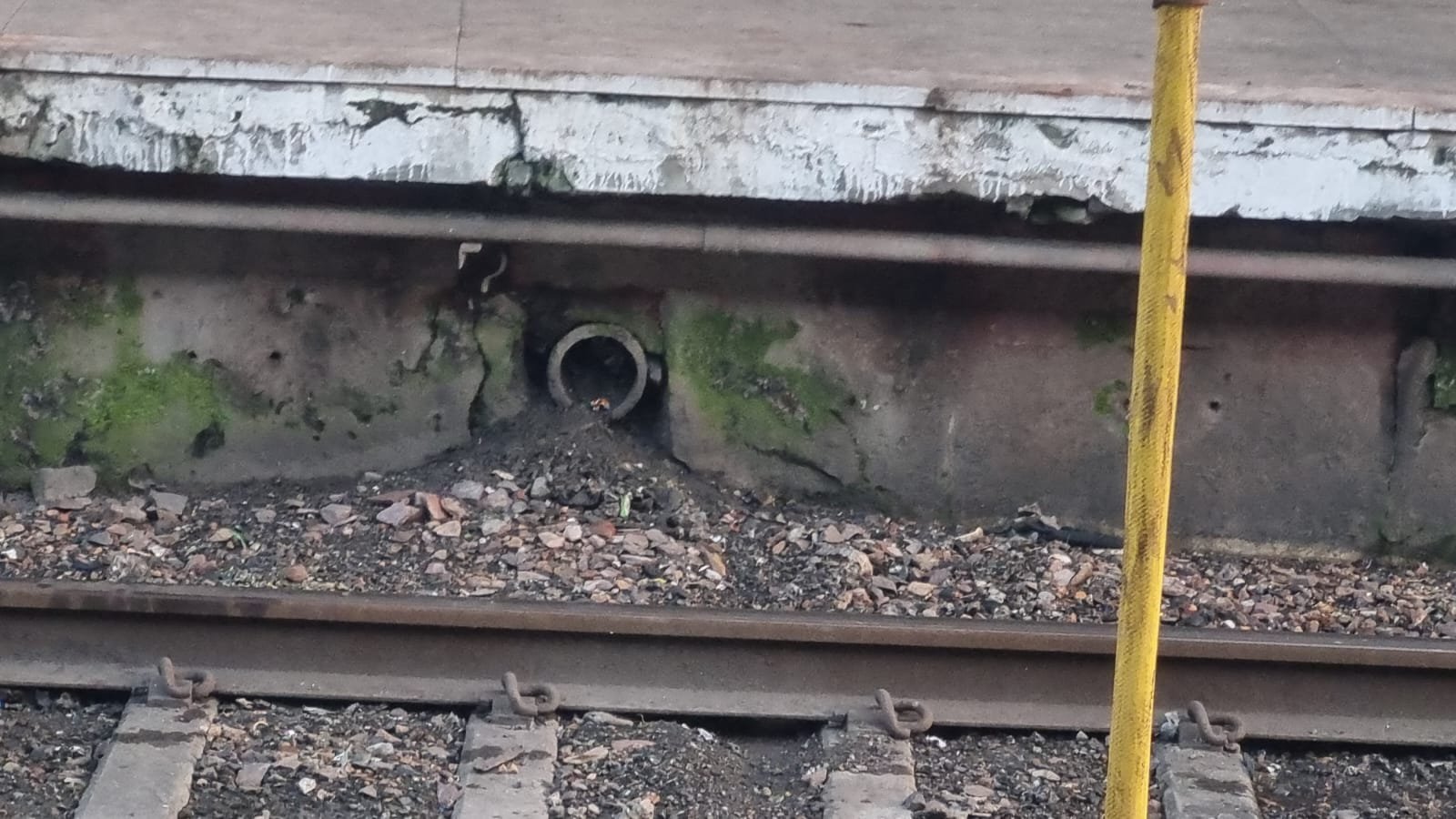 Rats will be eliminated from railway junction, Railways starts a stalled scheme