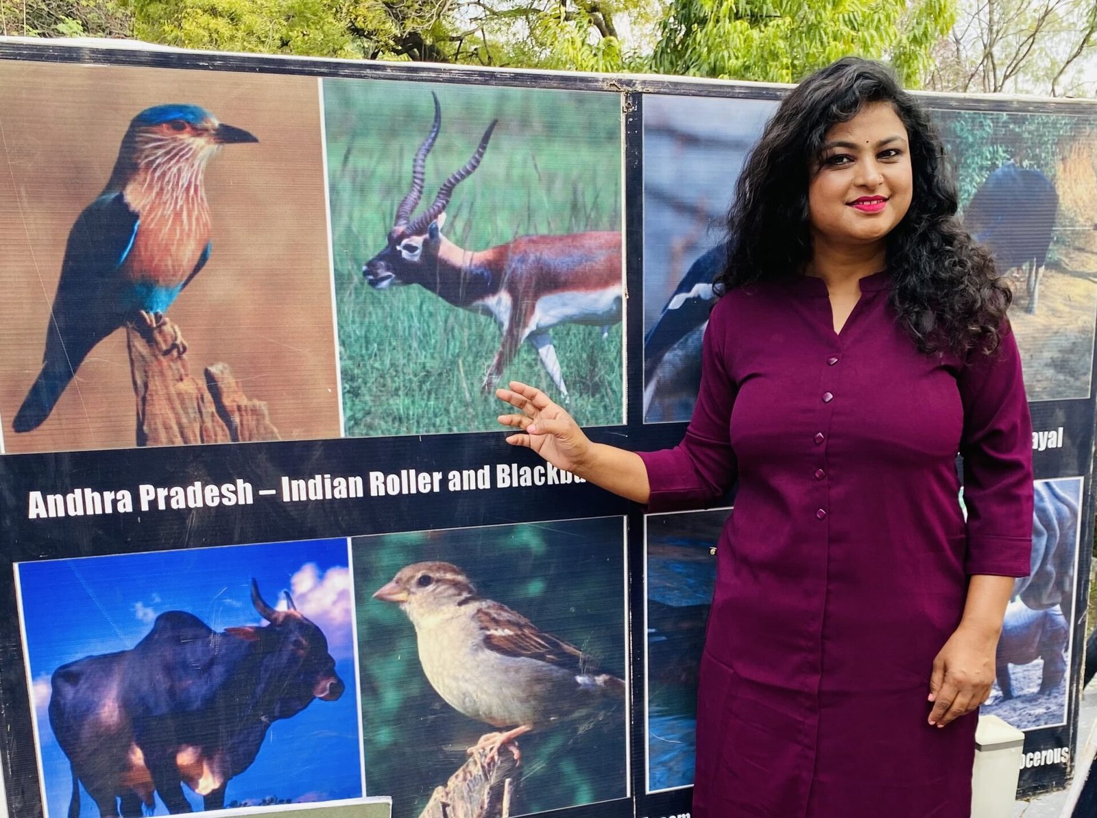 Special on National Bird Day: Need to save the chirping of birds