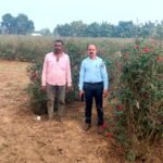 The life of Sudhir Verma, a resident of Tikhar, became fragrant with the cultivation of roses.