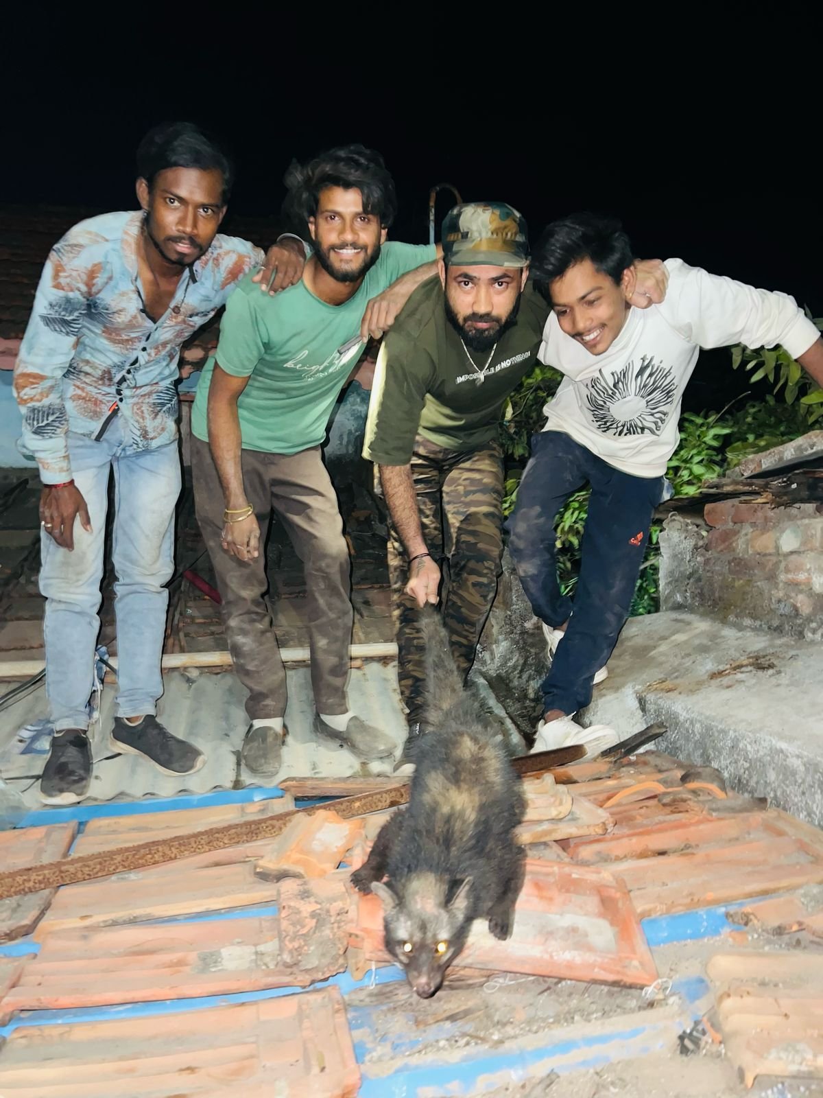 A mongoose was rescued from near a house in Bangaliya