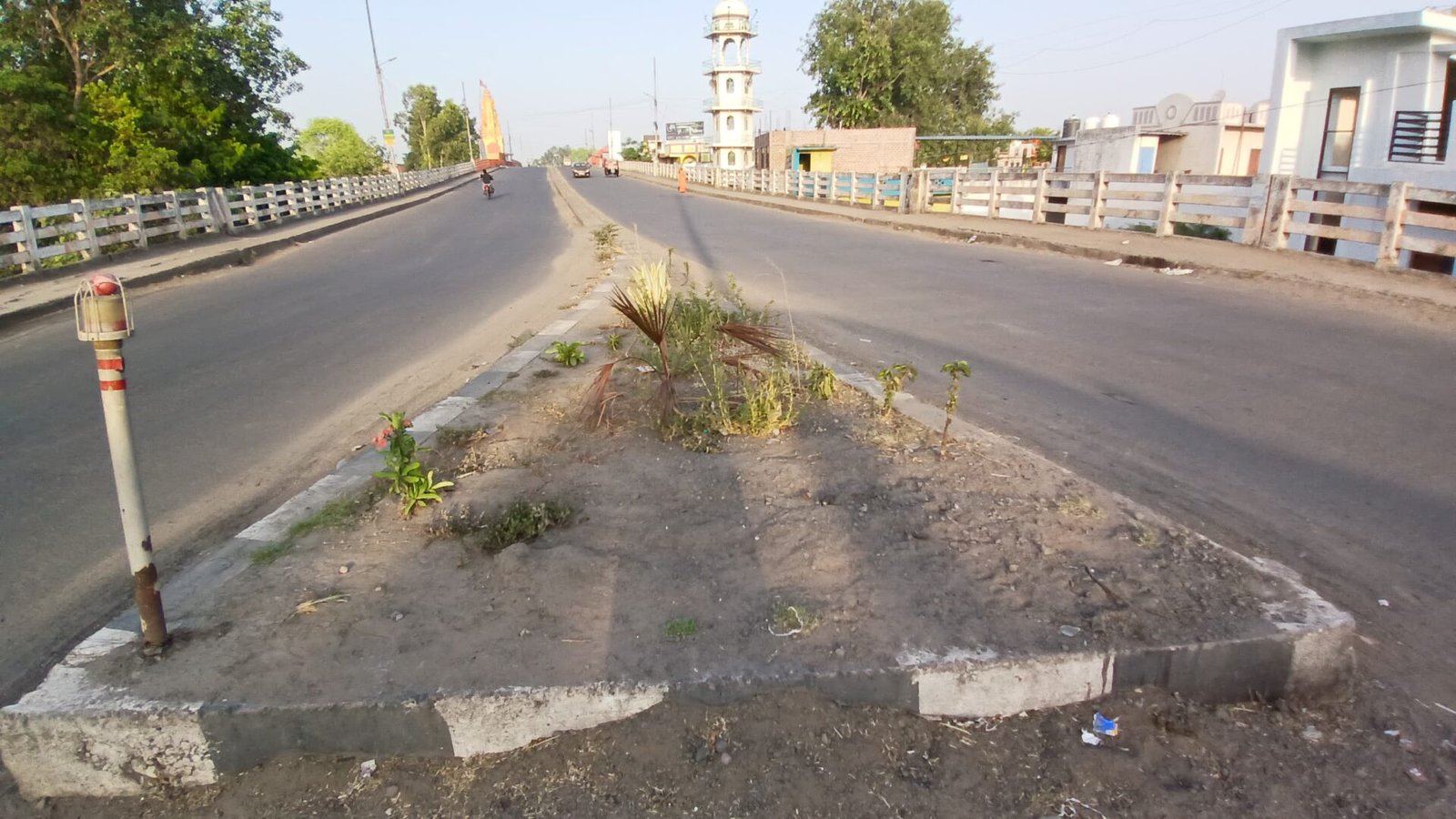 The plants planted on the roadside on the over bridge started drying due to lack of care
