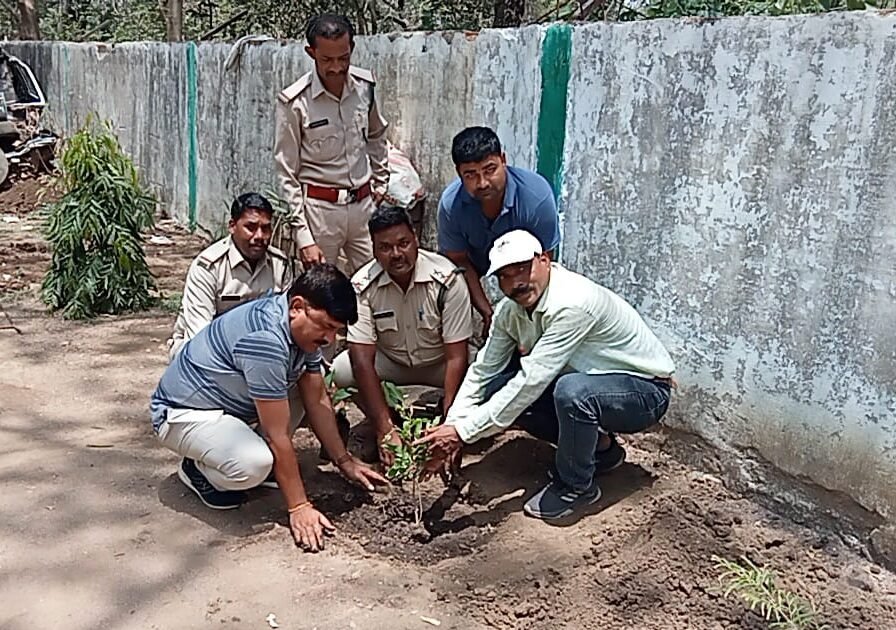 The forest department will plant seven lakh saplings by the end of July