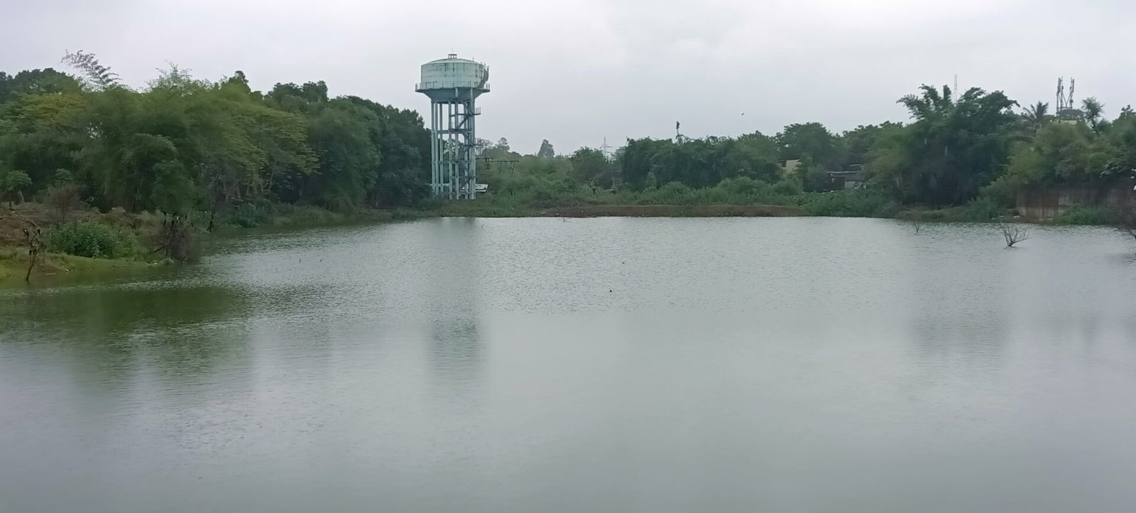 The picture of the Fefertal pond in Rasulia area of ​​Narmadapuram is changing
