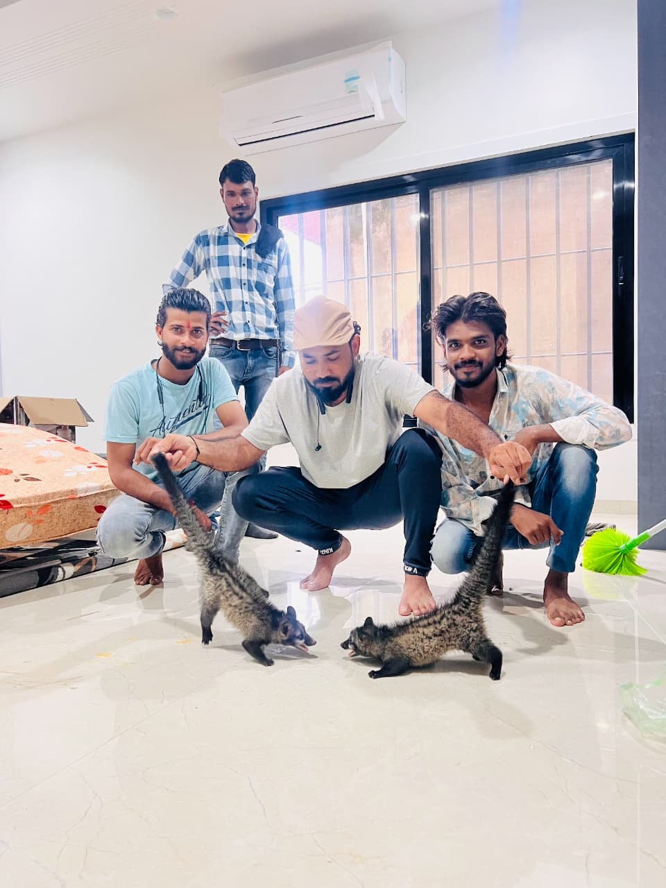 सिंधी कॉलोनी में फ़िर मिले कबरबिज्जु 1 IMG 20250830 WA0256