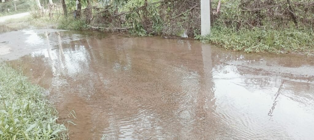 नवरात्रि से पहले भट्टी ग्राम पंचायत में सफाई की मांग, युवाओं ने सौंपा ज्ञापन 2 Bhatti 1