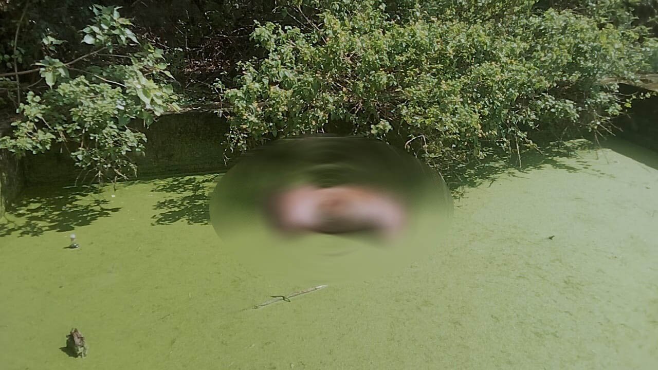 A dead cow was lying in the tank of the railway water plant for several days, officials became careless