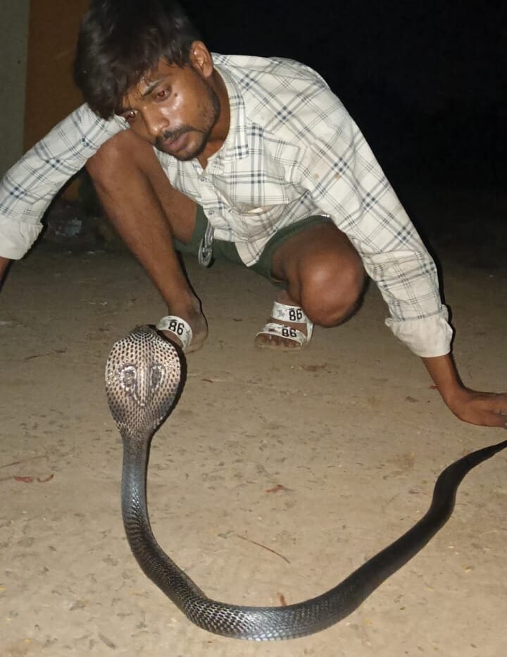 A woman sleeping in her house near the four-lane Ordnance Factory Road was bitten by a snake