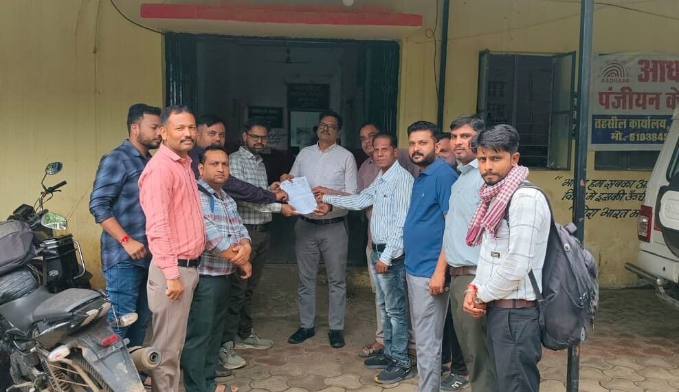 Patwaris are troubled by the technical flaws of Web GIS 2.0 portal, submitted memorandum in Tehsil