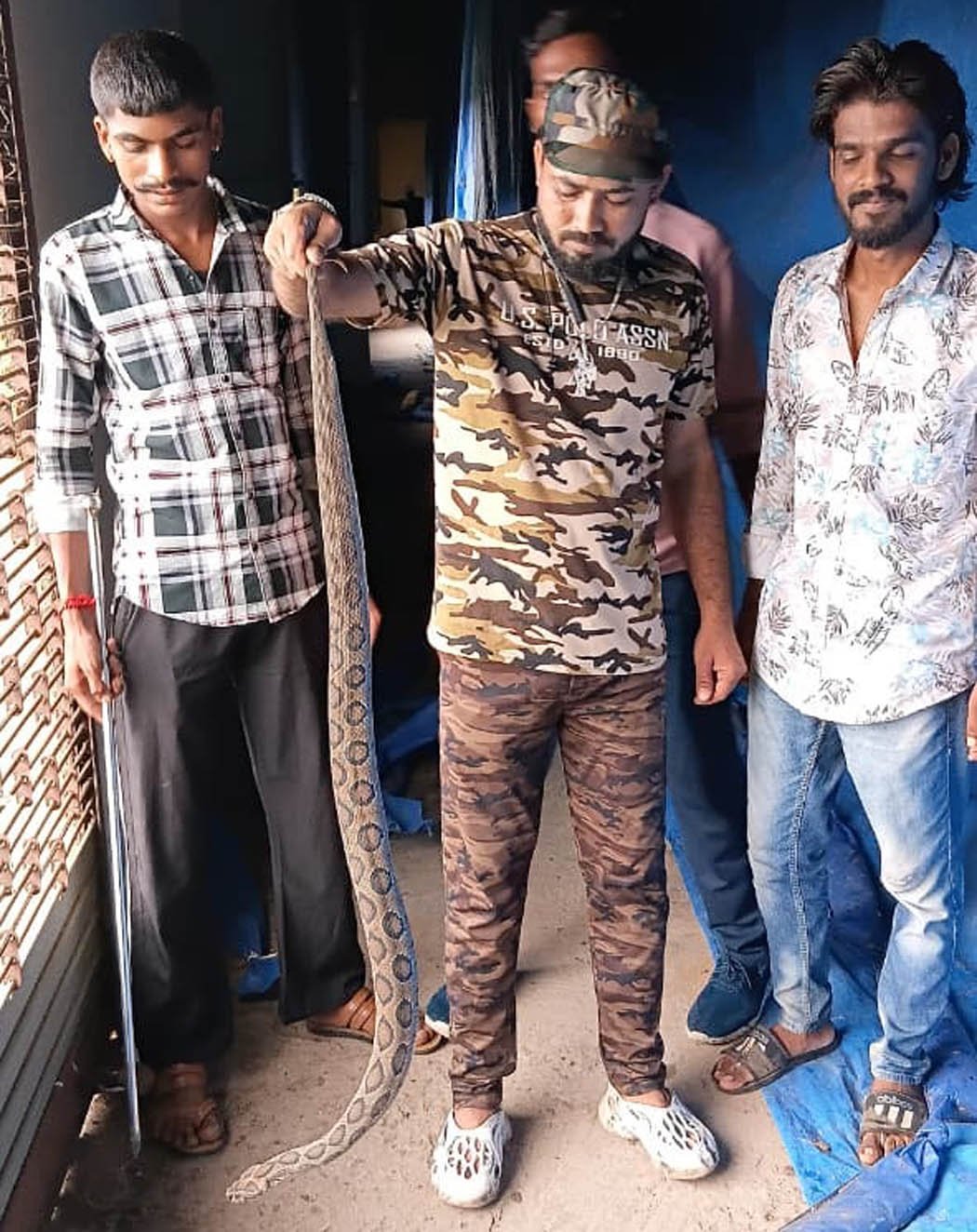 Dangerous Russell Viper rescued from warehouse, snake released safely in the forest