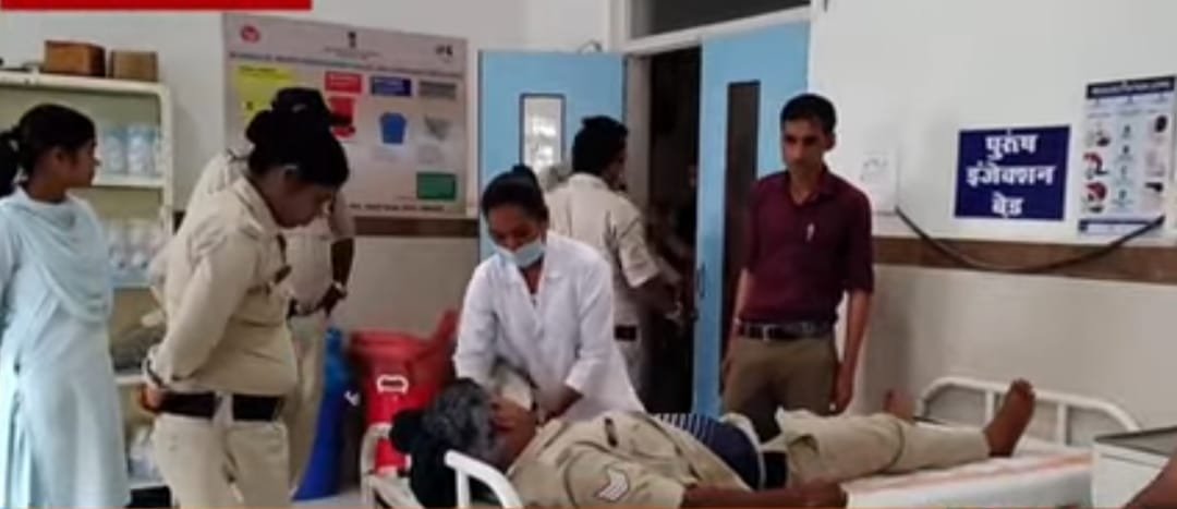 Bees attack during Ganesh immersion, more than a dozen injured